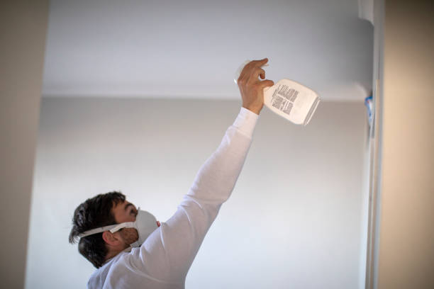 Best Certified Mold Removal  in Russells Point, OH