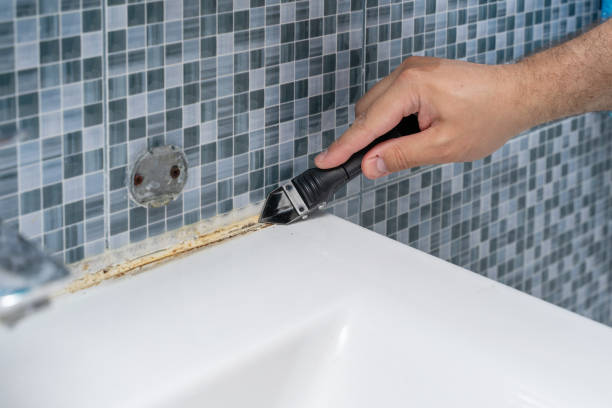 Mold Removal and Inspection in Russells Point, OH